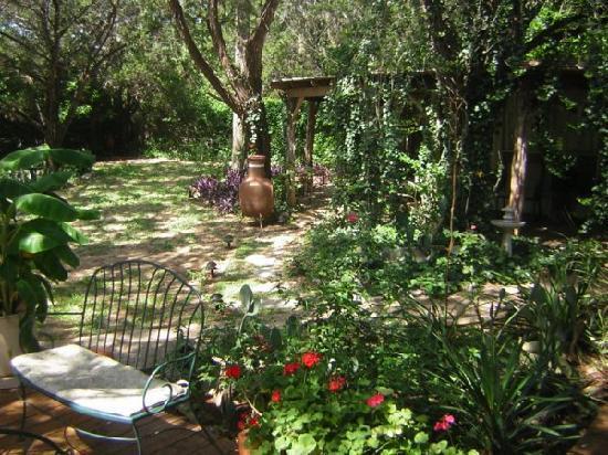 Casa Del Sol Bed And Breakfast Lakeway Ruang foto