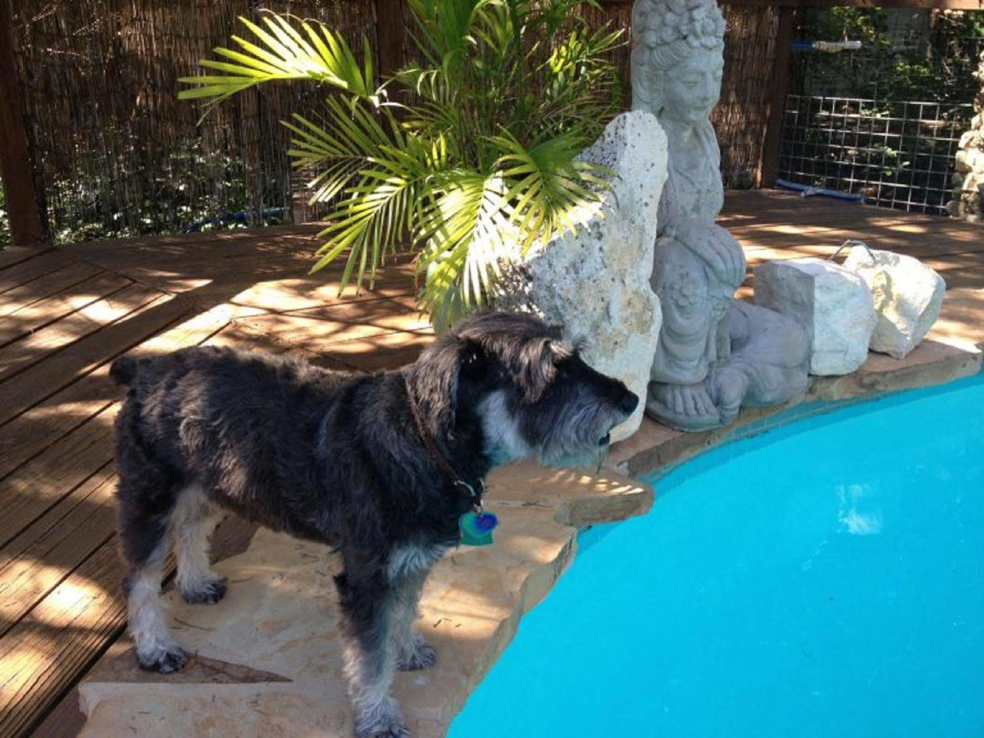 Casa Del Sol Bed And Breakfast Lakeway Bagian luar foto