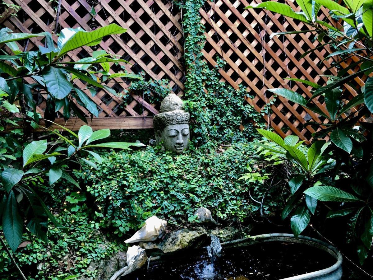 Casa Del Sol Bed And Breakfast Lakeway Bagian luar foto