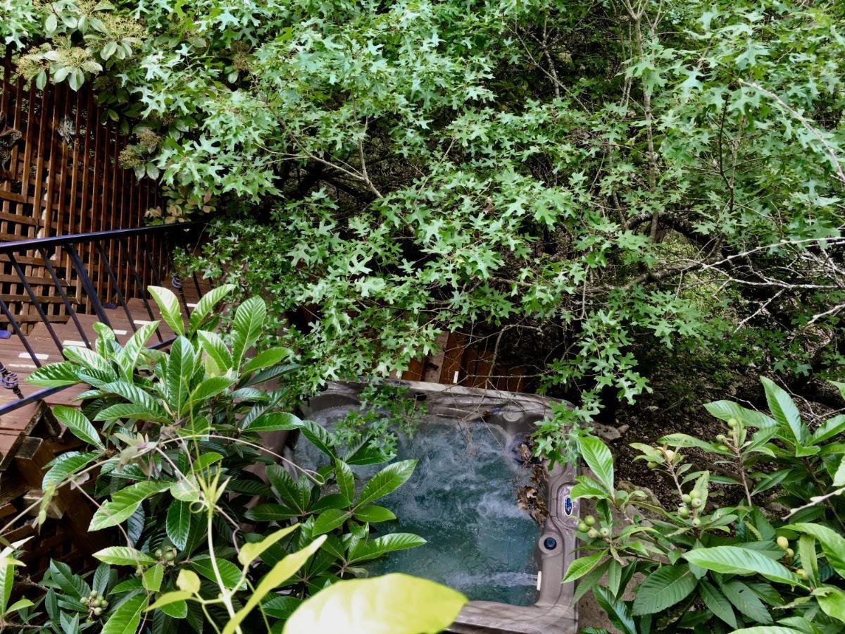 Casa Del Sol Bed And Breakfast Lakeway Bagian luar foto